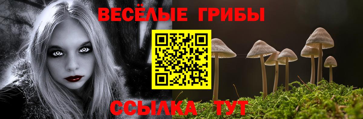 Псилоцибиновые грибы ЛСД  Галлюциногенные грибы Magic Shrooms  Железноводск  Вход с VPN 
